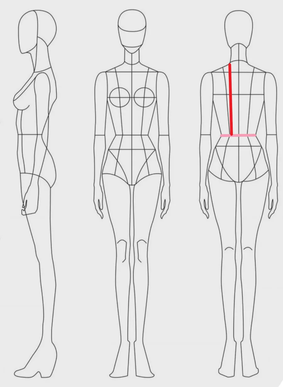 How to measure: Back length to waist