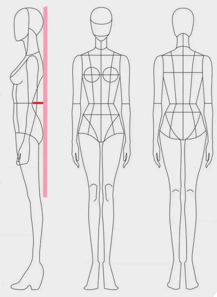 How to measure: Back prominence depth