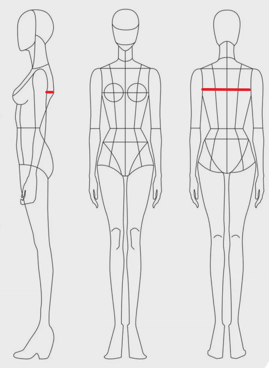 How to measure: Back width