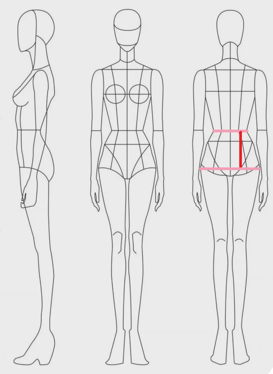 How to measure: Hip height